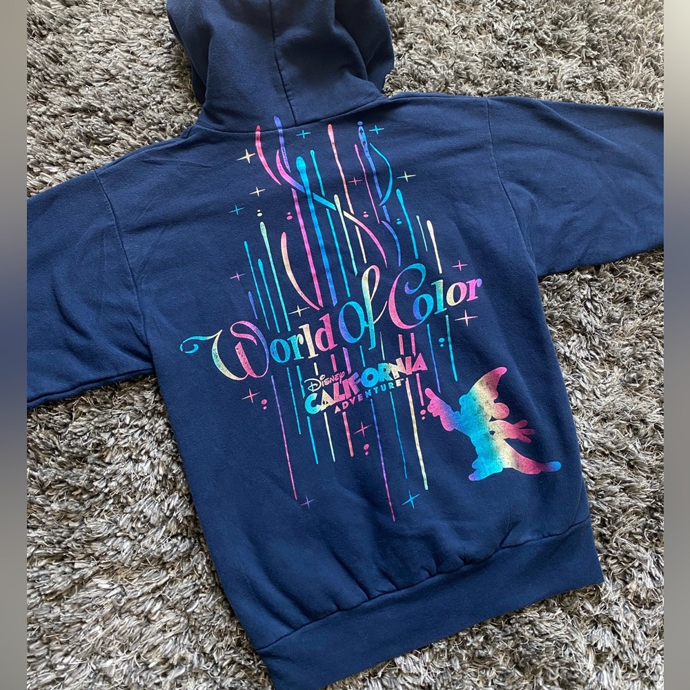 Disney World Of Color California Adventure Vintage Hoodie XS